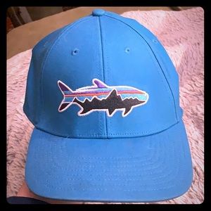 3/$30 Patagonia Hat